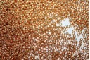 Miyuki Seed Beads Galvanized Gold 11/0 - 10gr