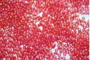 Perline Miyuki Transparent Red AB 15/0 - 10gr