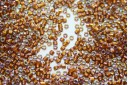 Miyuki Delica Beads Glazes Dark Saffron AB 11/0 - 8gr
