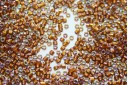 Miyuki Delica Beads Glazes Dark Saffron AB 11/0 - 8gr