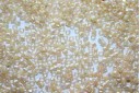 Miyuki Delica Beads Opaque Cream AB 11/0 - 8gr