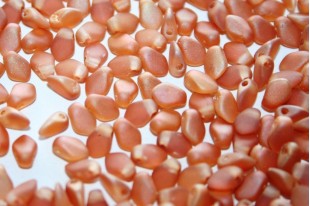 Czech Glass Beads Gekko® Apricot Medium Matted 3x5mm - 5gr
