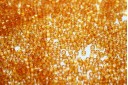 Miyuki Delica Beads Transparent Honey Luster 11/0 - 8gr
