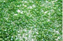 Miyuki Delica Beads Opaque Green AB 11/0 - 8gr