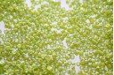 Miyuki Delica Beads Opaque Chartreuse AB 11/0 - 8gr
