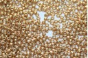 Miyuki Seed Beads Duracoat Galvanized Gold 11/0 - 10gr