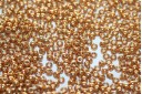 Miyuki Rocailles Duracoat Galvanized Yellow Gold 11/0 - 10gr