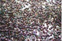 Miyuki Delica Beads Purple Iris 11/0 - 8gr