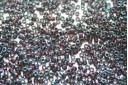 Miyuki Delica Beads Metallic Purple AB 11/0 - 8gr