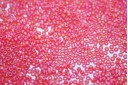 Miyuki Seed Beads Matted Light Red AB 15/0 - 10gr