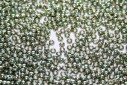 Miyuki Rocailles Duracoat Galvanized Sea Green 11/0 - 10gr