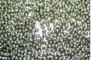 Miyuki Seed Beads Duracoat Galvanized Sea Green 11/0 - 10gr