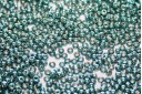 Miyuki Rocailles Duracoat Galvanized Seafoam 11/0 - 10gr