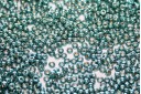 Miyuki Seed Beads Duracoat Galvanized Seafoam 11/0 - 10gr