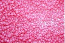 Miyuki Seed Beads Duracoat Opaque Guava 11/0 - 10gr
