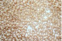 Miyuki Seed Beads Light Caramel Ceylon 11/0 - 10gr