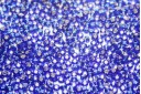 Miyuki Seed Beads Silver Lined Cobalt 11/0 - 10gr