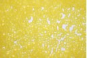 Miyuki Seed Beads Matted Transparent Yellow 11/0 - 10gr