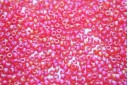 Miyuki Seed Beads Light Red AB Matted 11/0 - 10gr