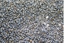 Miyuki Seed Beads Matted Metallic Silver Grey 15/0 - 10gr