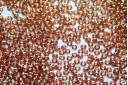 Miyuki Seed Beads Topaz Gold Luster 11/0 - 10gr