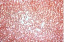 Miyuki Seed Beads Shell Pink Luster 11/0 - 10gr