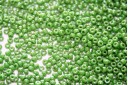 Miyuki Seed Beads Opaque Green Luster 11/0 - 10gr