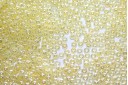Miyuki Seed Beads Light Yellow Ceylon 11/0 - 10gr