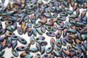 Miyuki Long Magatama Beads Matted Multi Iris 4x7mm - 10gr