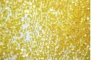 Miyuki Delica Beads Transparent Yellow AB 11/0 - 8gr