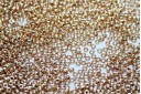 Miyuki Seed Beads Galvanized Gold 15/0 - 10gr