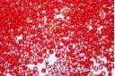 Delica Miyuki Opaque Red Luster 11/0 - 8gr
