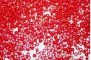 Miyuki Delica Beads Opaque Red Luster 11/0 - 8gr