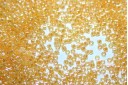 Miyuki Delica Beads Lined Crystal Yellow Luster 11/0 - 8gr