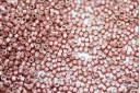 Delica Miyuki Galvanized Semi Pink Blush 11/0 - 8gr