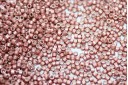 Miyuki Delica Beads Galvanized Semi Pink Blush 11/0 - 8gr