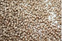 Miyuki Delica Beads Galvanized Matted Champagne 11/0 - 8gr