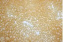 Delica Miyuki Transparent Matted Crystal Ivory Luster 11/0 - 8gr