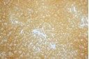 Miyuki Delica Beads Transparent Matted Crystal Ivory Luster 11/0 - 8gr