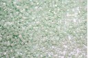 Miyuki Delica Beads Opaque Light Mint Ceylon 11/0 - 8gr