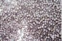 Miyuki Delica Beads White Lined Amethyst AB 11/0 - 8gr