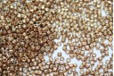 Miyuki Delica Beads Duracoat Galvanized Champagne 11/0 - 8gr