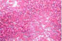 Delica Miyuki Luminous Pink Taffy 11/0 - 8gr