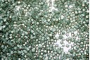 Miyuki Delica Beads Duracoat SF Silver Lined Dyed Laurel  11/0 - 8gr