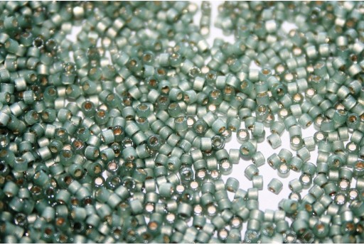 Miyuki Delica Beads Duracoat SF Silver Lined Dyed Laurel 11/0 - Pack 50gr