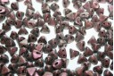 Super-Khéops® Par Puca® Beads Dark Violet Metallic Mat 6mm - 10gr
