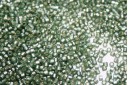 Miyuki Delica Beads Semi Matt S/L Light Grey Dyed Green 11/0 - 8gr