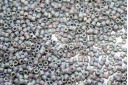 Miyuki Delica Beads Opaque Light Grey AB 11/0 - 8gr