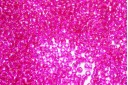 Miyuki Seed Beads Fuchsia Transparent Silver Lined 11/0 - 10gr