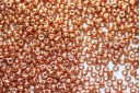 Miyuki Seed Beads Duracoat Galvanized Muscat 11/0 - 10gr